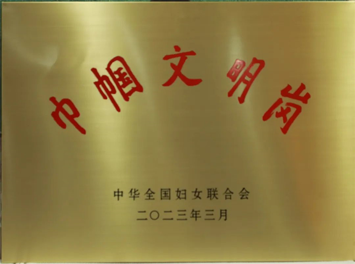 自治區(qū)婦聯(lián)領導慰問我院“全國巾幗文明崗”護理團隊