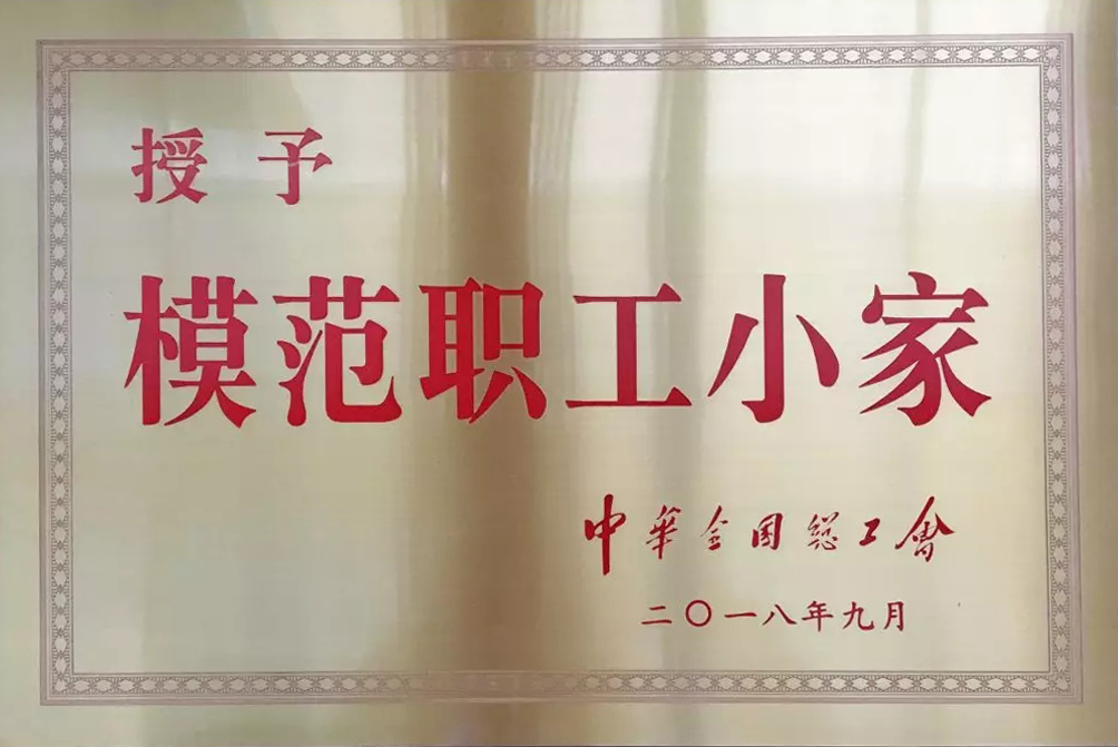 熱烈祝賀西藏阜康醫(yī)院婦產(chǎn)兒童分院工會榮獲“全國模范職工小家”稱號！