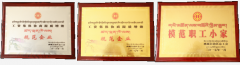 阜康醫(yī)院榮獲“工資集體協(xié)商提質(zhì)增效規(guī)范企業(yè)”及“模范職工小家”榮譽稱號