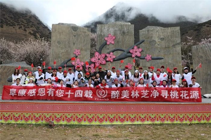 阜康醫(yī)療“2019凈尋桃花源”拓展活動圓滿結(jié)束